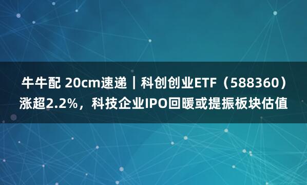 牛牛配 20cm速递｜科创创业ETF（588360）涨超2.2%，科技企业IPO回暖或提振板块估值