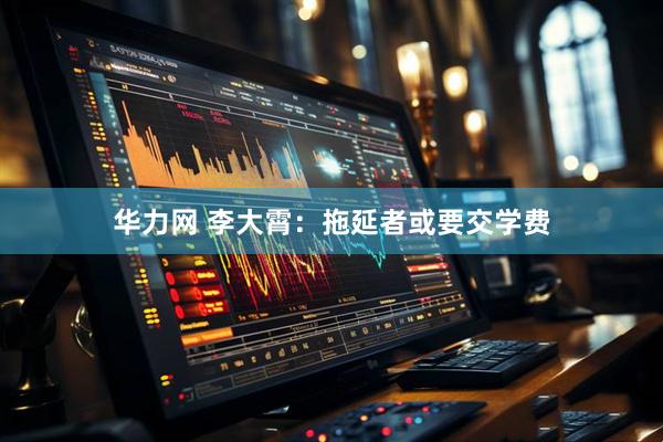 华力网 李大霄：拖延者或要交学费