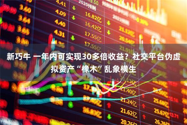 新巧牛 一年内可实现30多倍收益？社交平台伪虚拟资产“橡木”乱象横生