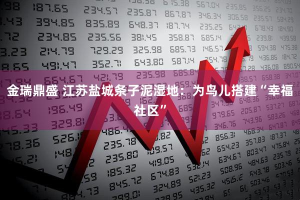 金瑞鼎盛 江苏盐城条子泥湿地：为鸟儿搭建“幸福社区”