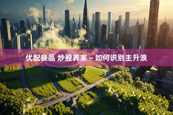 优配良品 炒股养家～如何识别主升浪