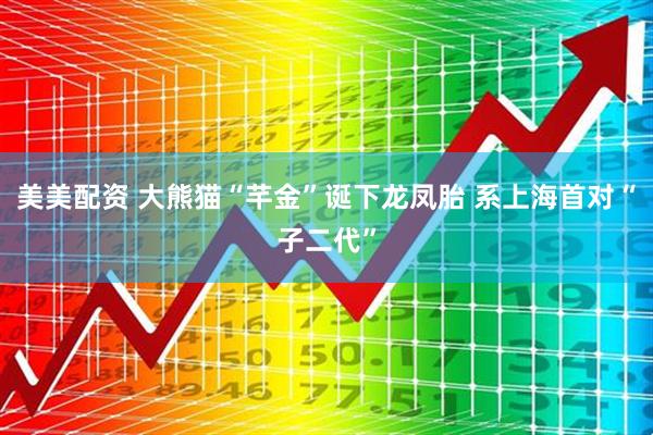 美美配资 大熊猫“芊金”诞下龙凤胎 系上海首对“子二代”